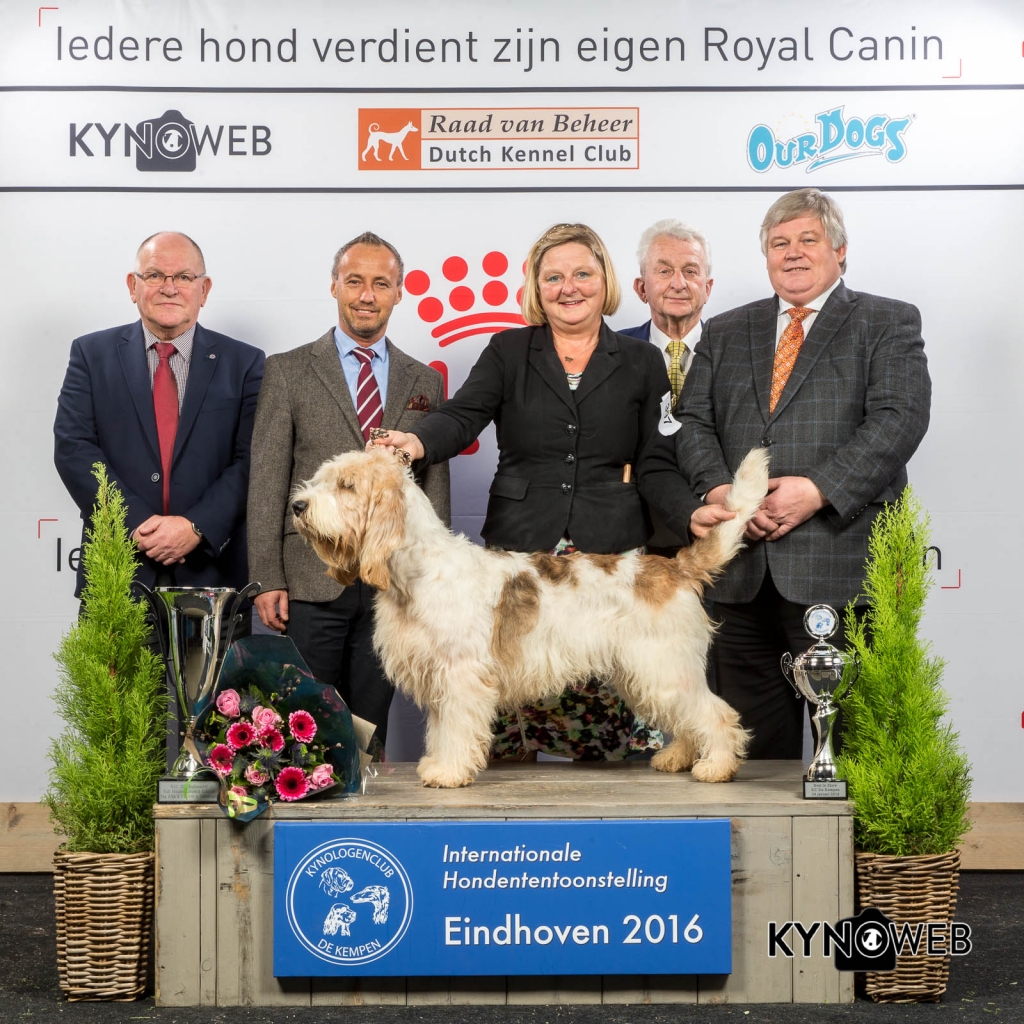 Best In Show