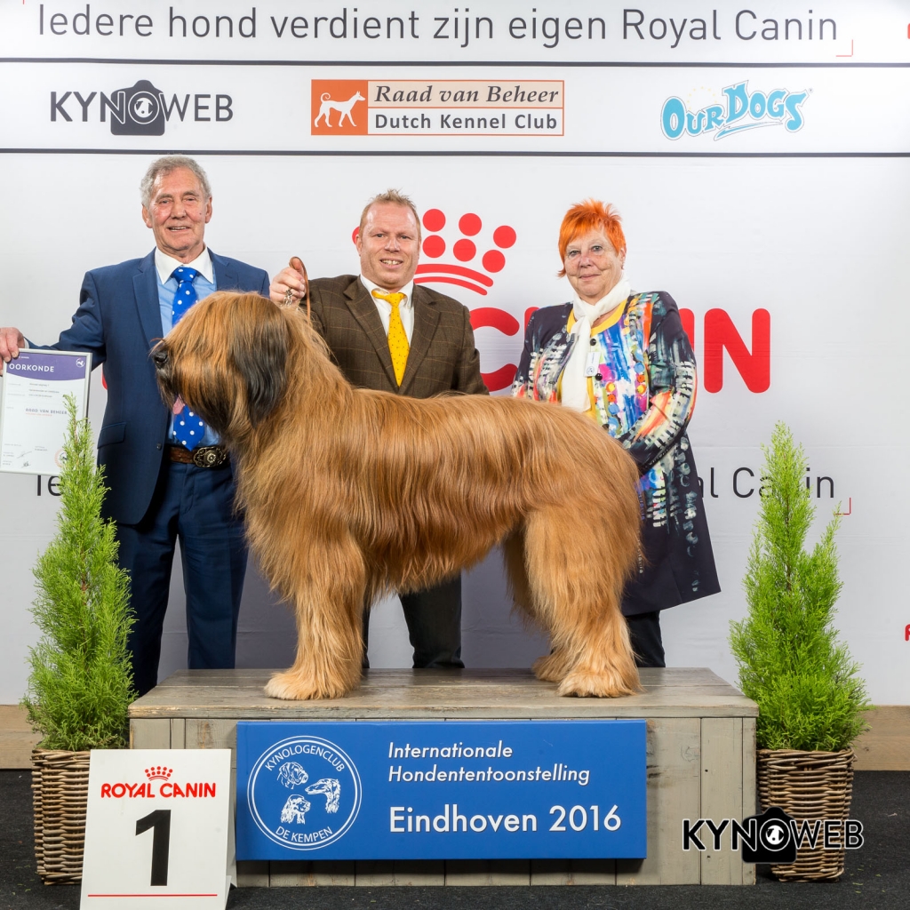 4e plaats