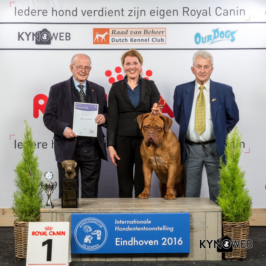 4e plaats