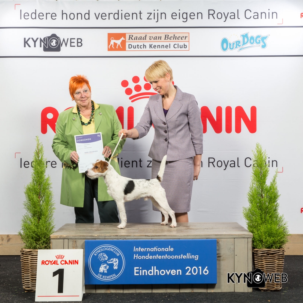 4e plaats