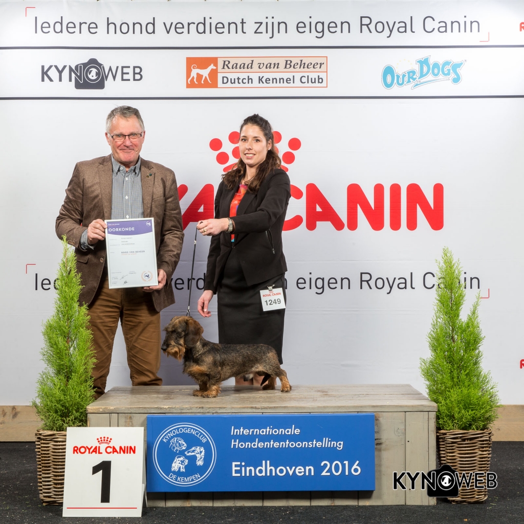 4e plaats