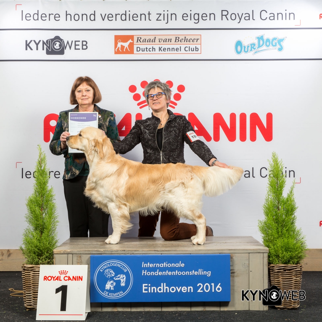 4e plaats