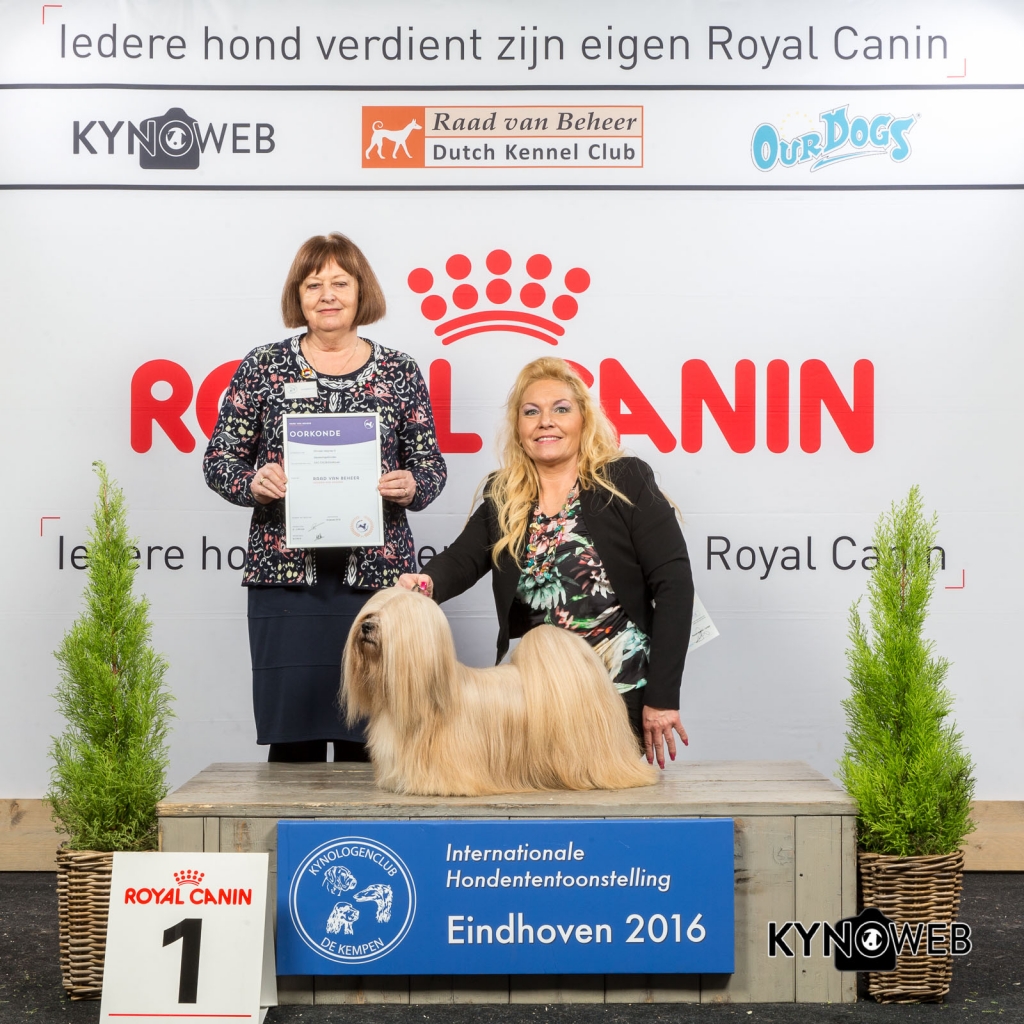 4e plaats