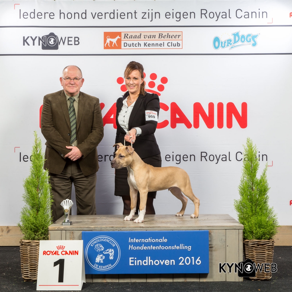 B_1_Zaterdag_Eindhoven_2016_Kynoweb- Ernst von Scheven_January 23, 2016_15_11_31