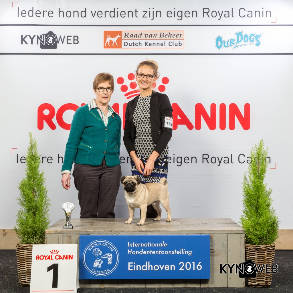 B_1_Zondag_Eindhoven_2016_Kynoweb- Ernst von Scheven_January 24, 2016_15_50_56