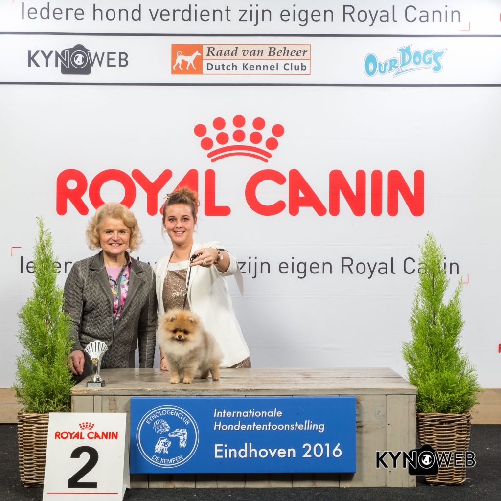 B_2_Vrijdag_Eindhoven_2016_Kynoweb- Ernst von Scheven_January 22, 2016_15_36_51