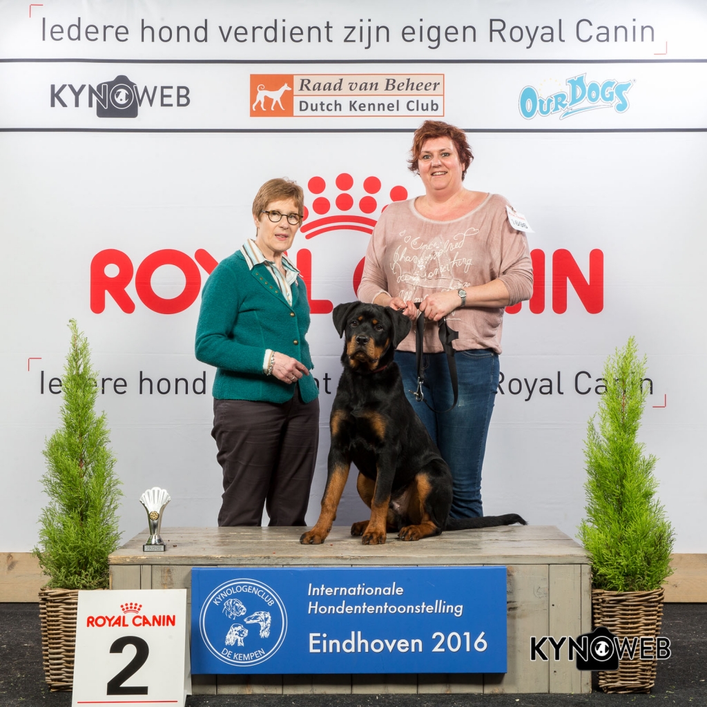 B_2_Zondag_Eindhoven_2016_Kynoweb- Ernst von Scheven_January 24, 2016_15_52_44