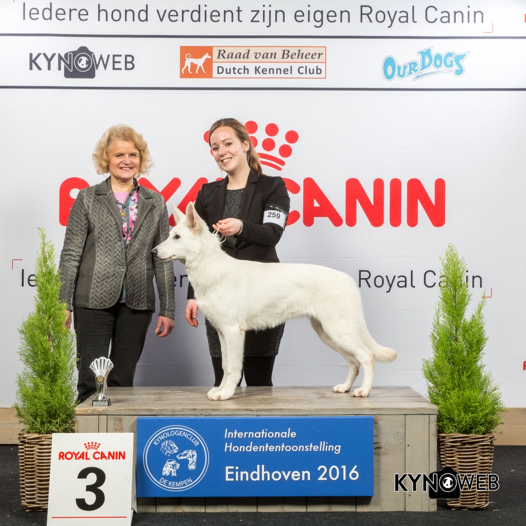 B_3_Vrijdag_Eindhoven_2016_Kynoweb- Ernst von Scheven_January 22, 2016_15_37_56