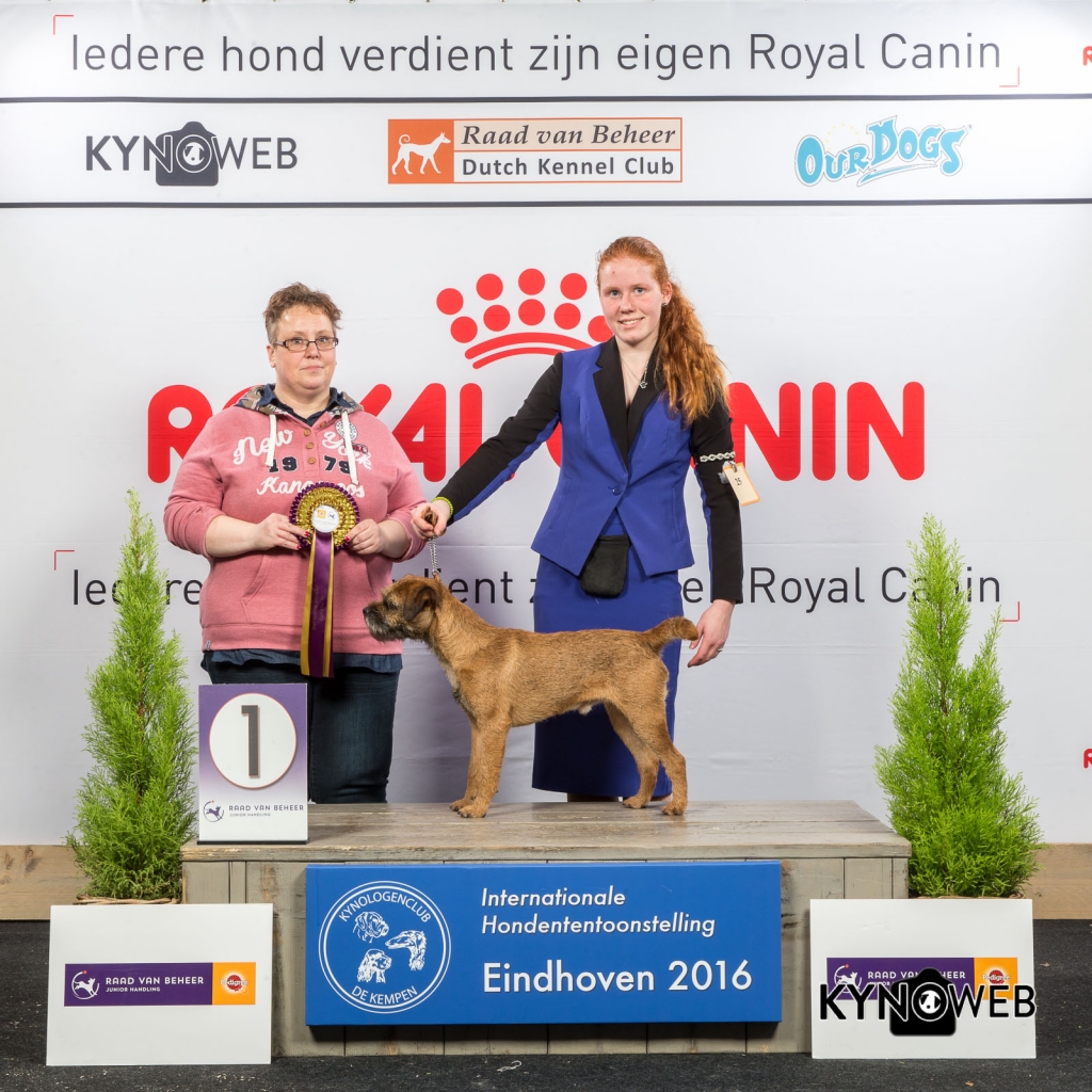 JH_1_Zaterdag_Eindhoven_2016_Kynoweb- Ernst von Scheven_January 23, 2016_15_01_17