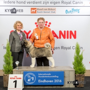 B_1_Vrijdag_Eindhoven_2016_Kynoweb- Ernst von Scheven_January 22, 2016_15_35_48
