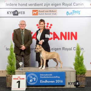 B_1_Zaterdag_Eindhoven_2016_Kynoweb- Ernst von Scheven_January 23, 2016_15_11_31