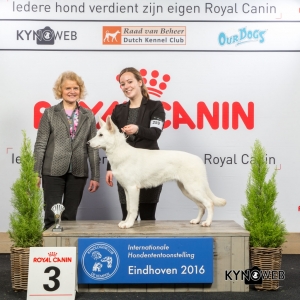 B_3_Vrijdag_Eindhoven_2016_Kynoweb- Ernst von Scheven_January 22, 2016_15_37_56