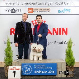 K_1_Zondag_Eindhoven_2016_Kynoweb- Ernst von Scheven_January 24, 2016_16_19_17