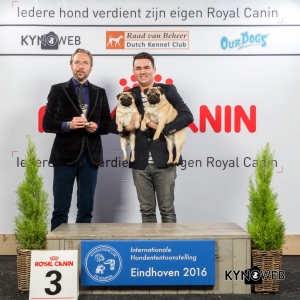K_3_Zondag_Eindhoven_2016_Kynoweb- Ernst von Scheven_January 24, 2016_16_14_09