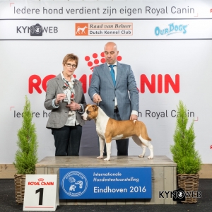P_1_Zaterdag_Eindhoven_2016_Kynoweb- Ernst von Scheven_January 23, 2016_15_20_53