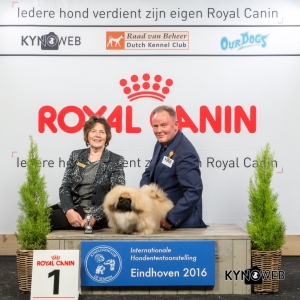P_1_Zondag_Eindhoven_2016_Kynoweb- Ernst von Scheven_January 24, 2016_16_01_55