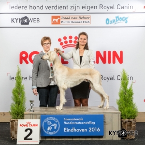 P_2_Zaterdag_Eindhoven_2016_Kynoweb- Ernst von Scheven_January 23, 2016_15_17_24