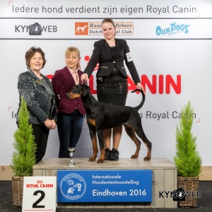 P_2_Zondag_Eindhoven_2016_Kynoweb- Ernst von Scheven_January 24, 2016_16_03_03