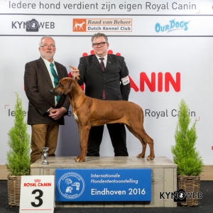 P_3_Vrijdag_Eindhoven_2016_Kynoweb- Ernst von Scheven_January 22, 2016_15_43_43