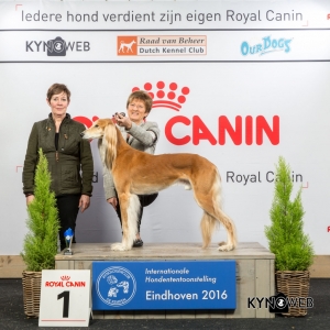 V_1_Zaterdag_Eindhoven_2016_Kynoweb- Ernst von Scheven_January 23, 2016_15_25_06