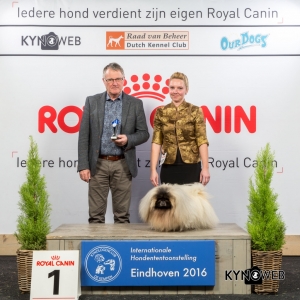 V_1_Zondag_Eindhoven_2016_Kynoweb- Ernst von Scheven_January 24, 2016_16_06_17