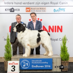 V_3_Zondag_Eindhoven_2016_Kynoweb- Ernst von Scheven_January 24, 2016_16_09_00