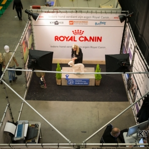 Eindhoven_2016_KYNOWEB_January 23, 2016_245074