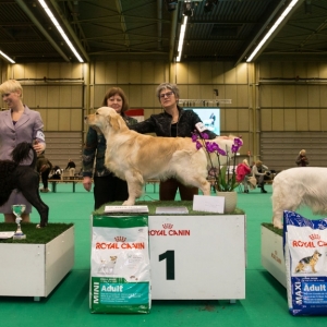 Eindhoven_2016_KYNOWEB_January 23, 2016_245180