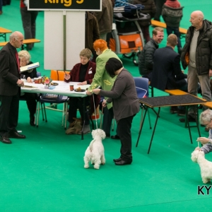 Eindhoven_2016_KYNOWEB_January 23, 2016_295800