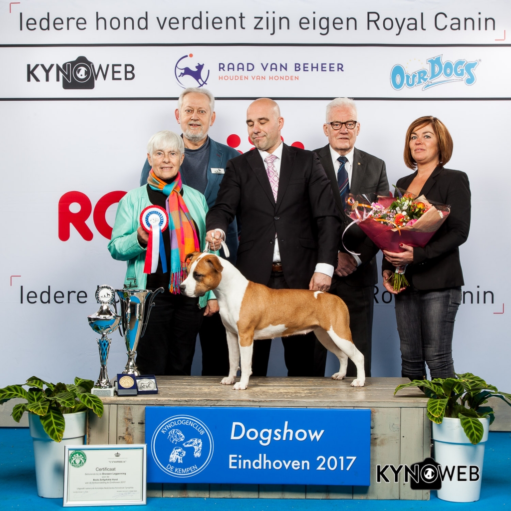 BEST IN SHOW