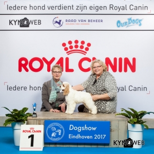 JONGSTE PUPPY/MINOR PUPPY 1E PL