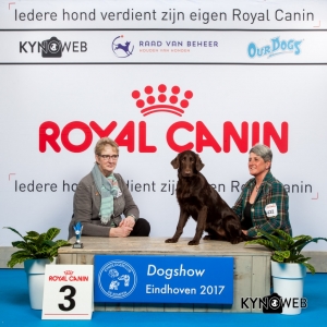 JONGSTE PUPPY/MINOR PUPPY 3E PL