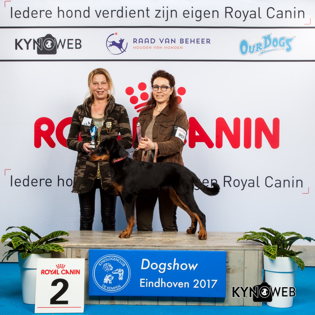 JONGSTE PUPPY/MINOR PUPPY 2E PL