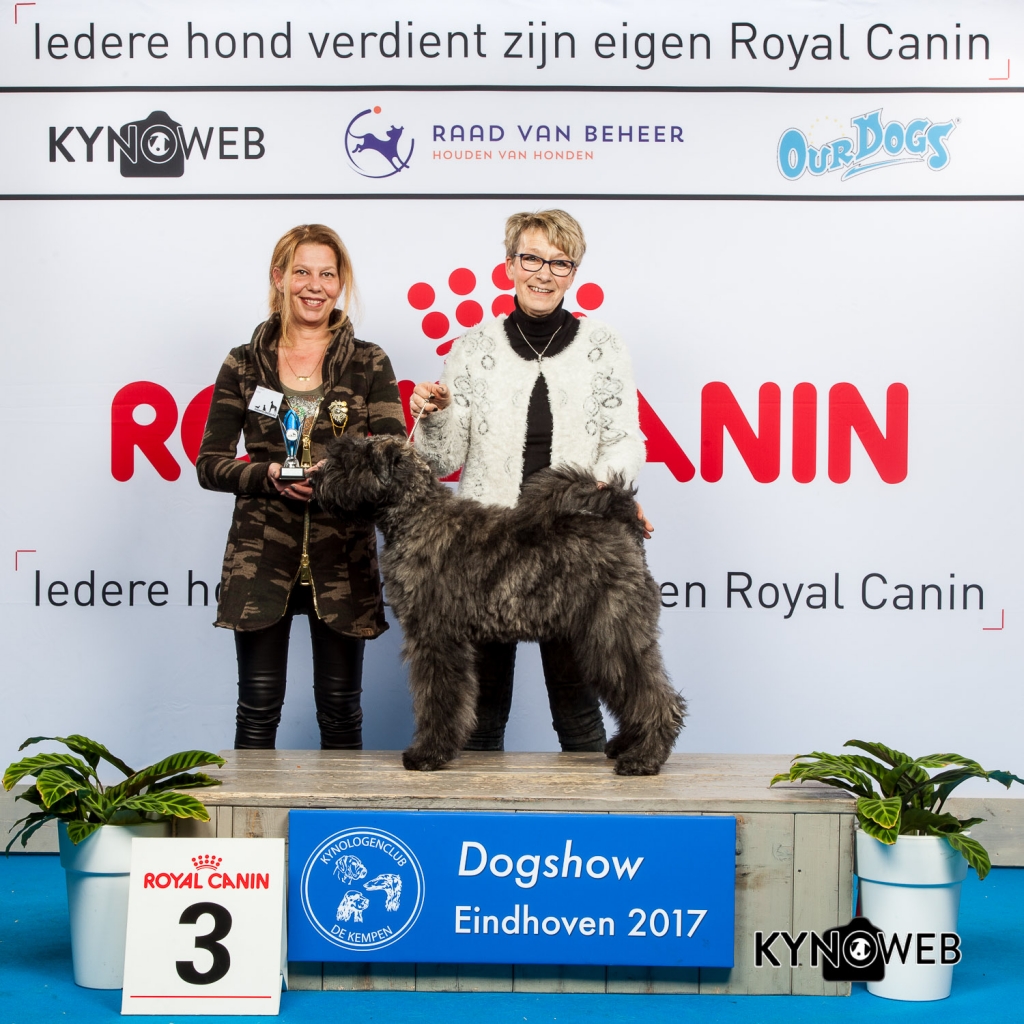 JONGSTE PUPPY/MINOR PUPPY 3E PL