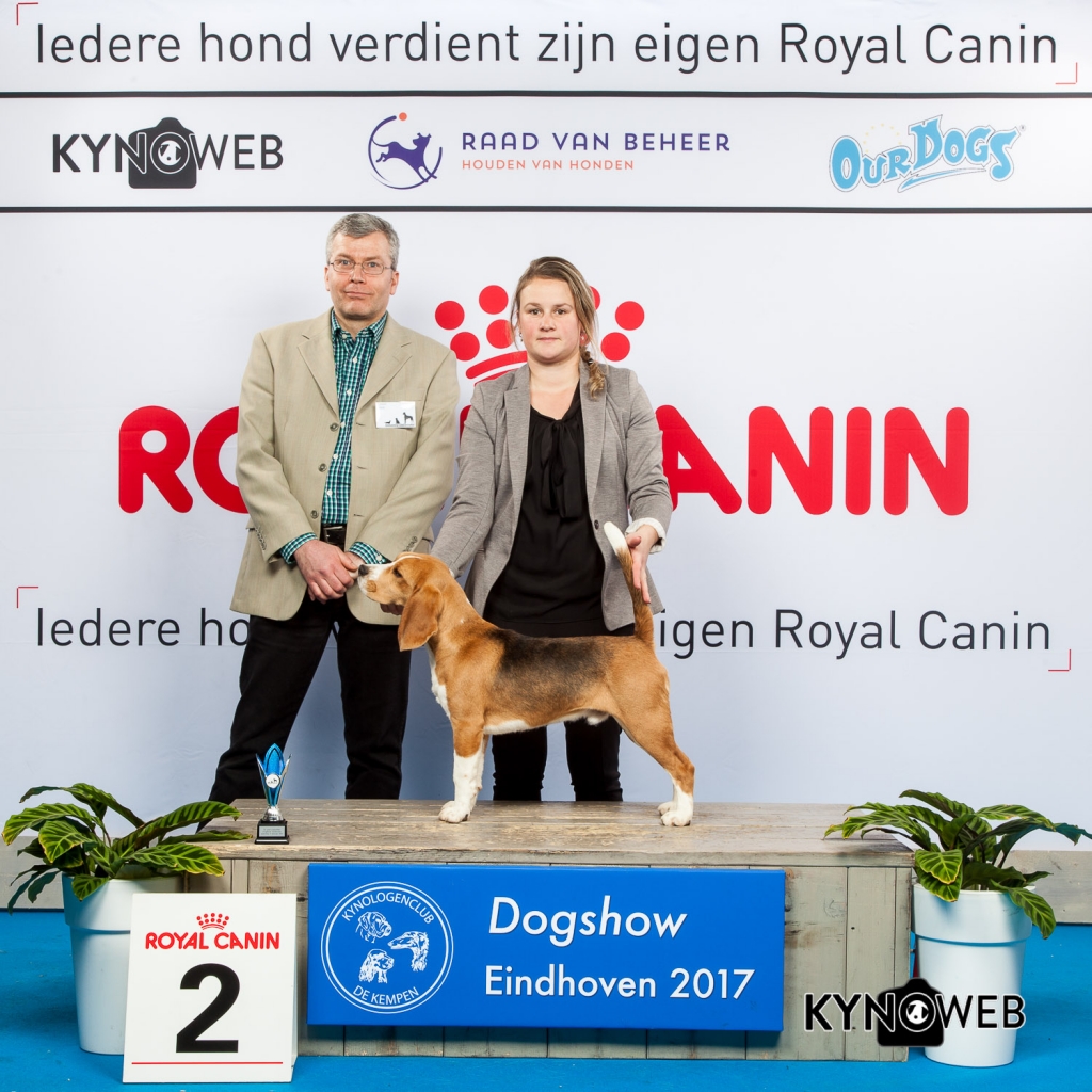 PUPPY 2E PL