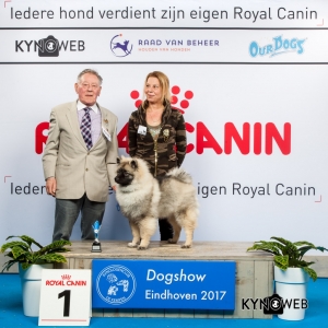 JONGSTE PUPPY/MINOR PUPPY 1E PL