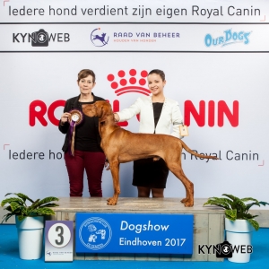 JH3 zaterdag Eindhoven 2017 Jamila