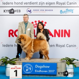 PUPPY 1E PL