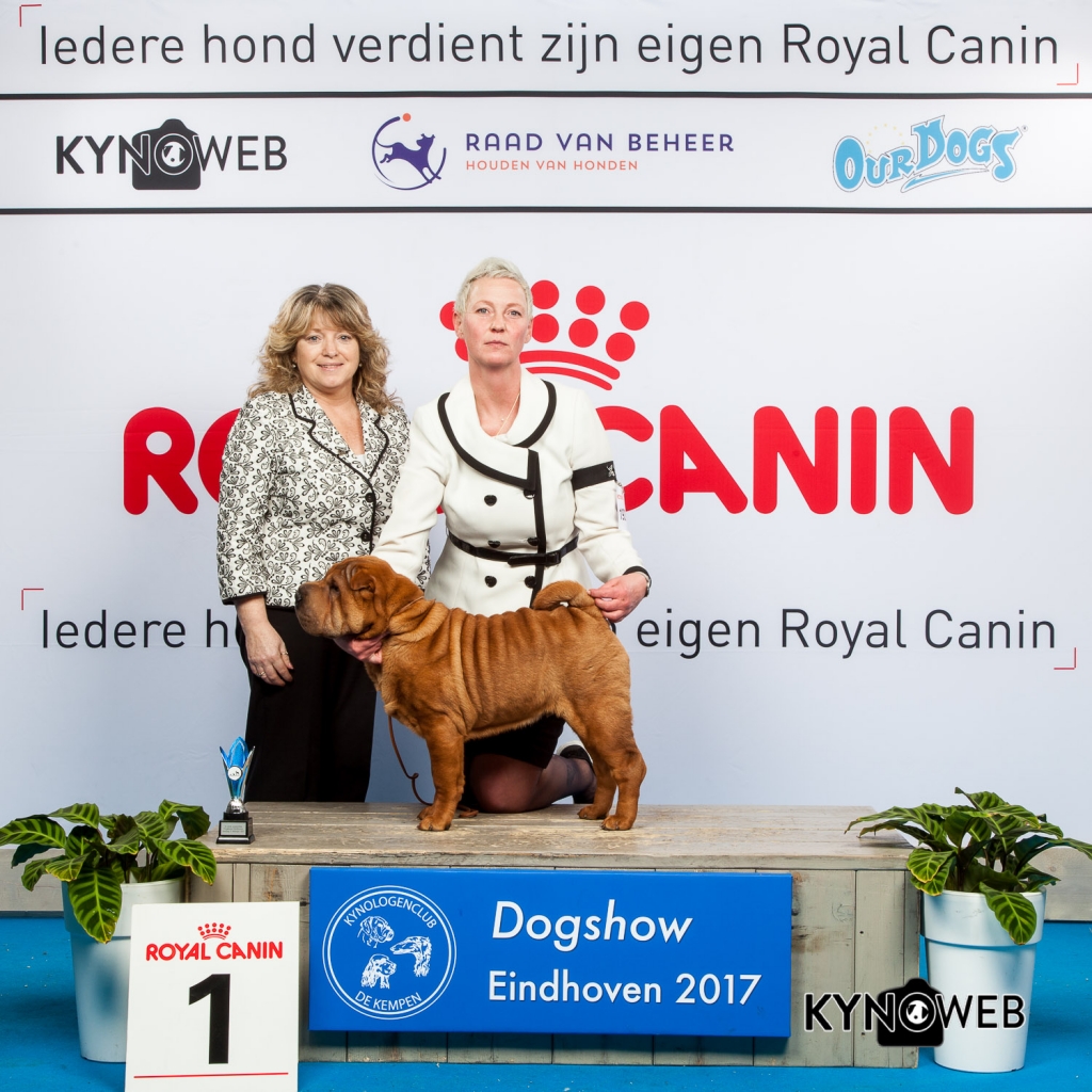 JONGSTE PUPPY/MINOR PUPPY 1E PL