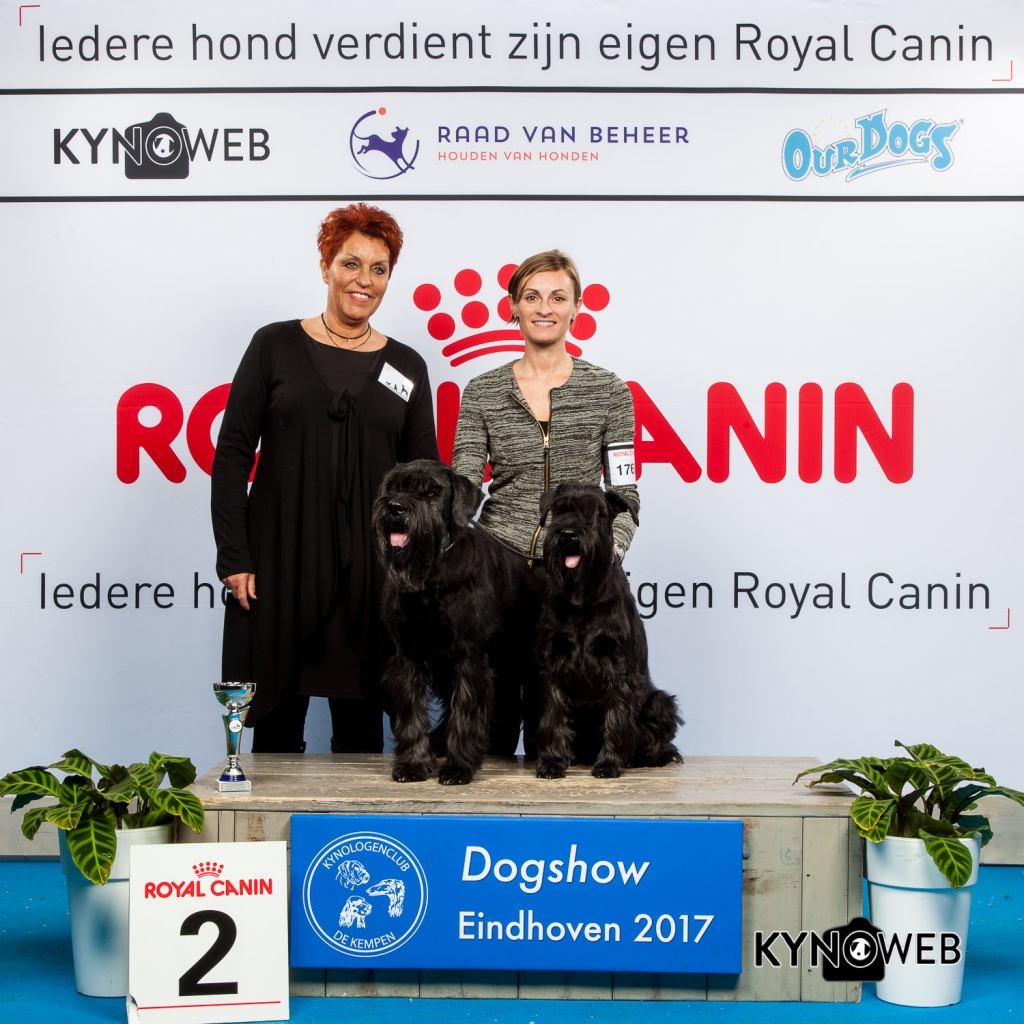 KOPPELS/BRACE 2E PL