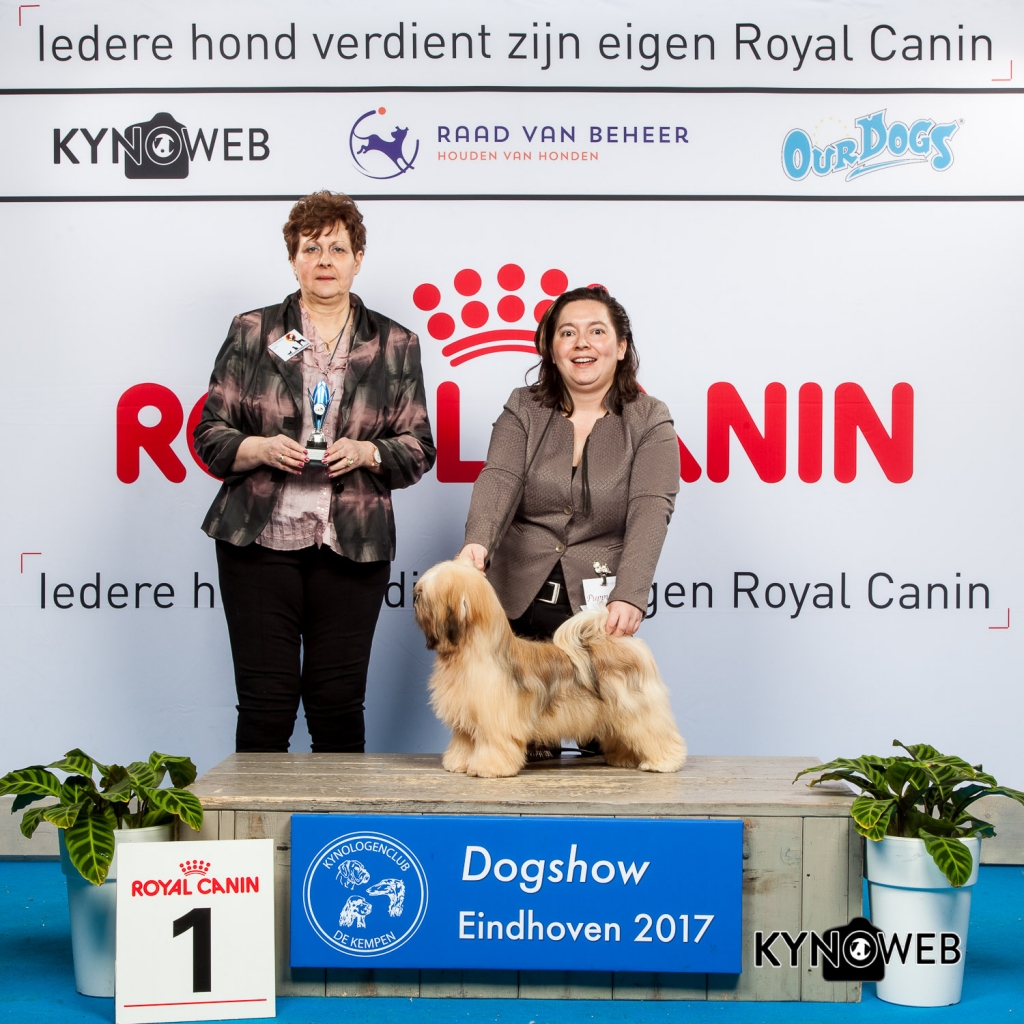 PUPPY 1E PL