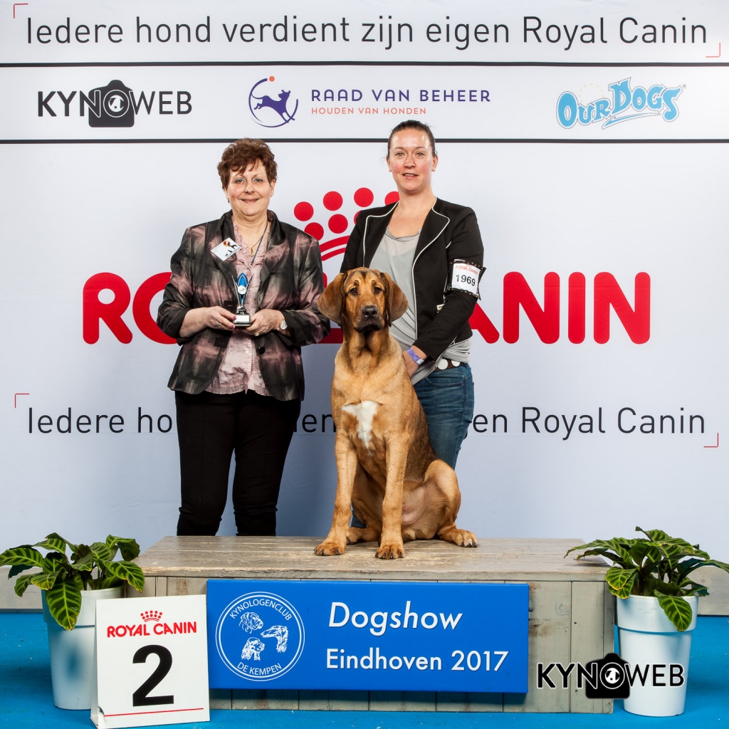 PUPPY 2E PL