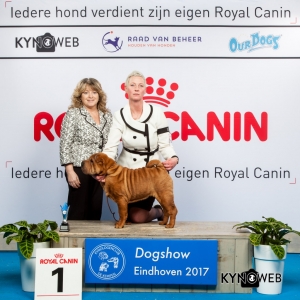 JONGSTE PUPPY/MINOR PUPPY 1E PL