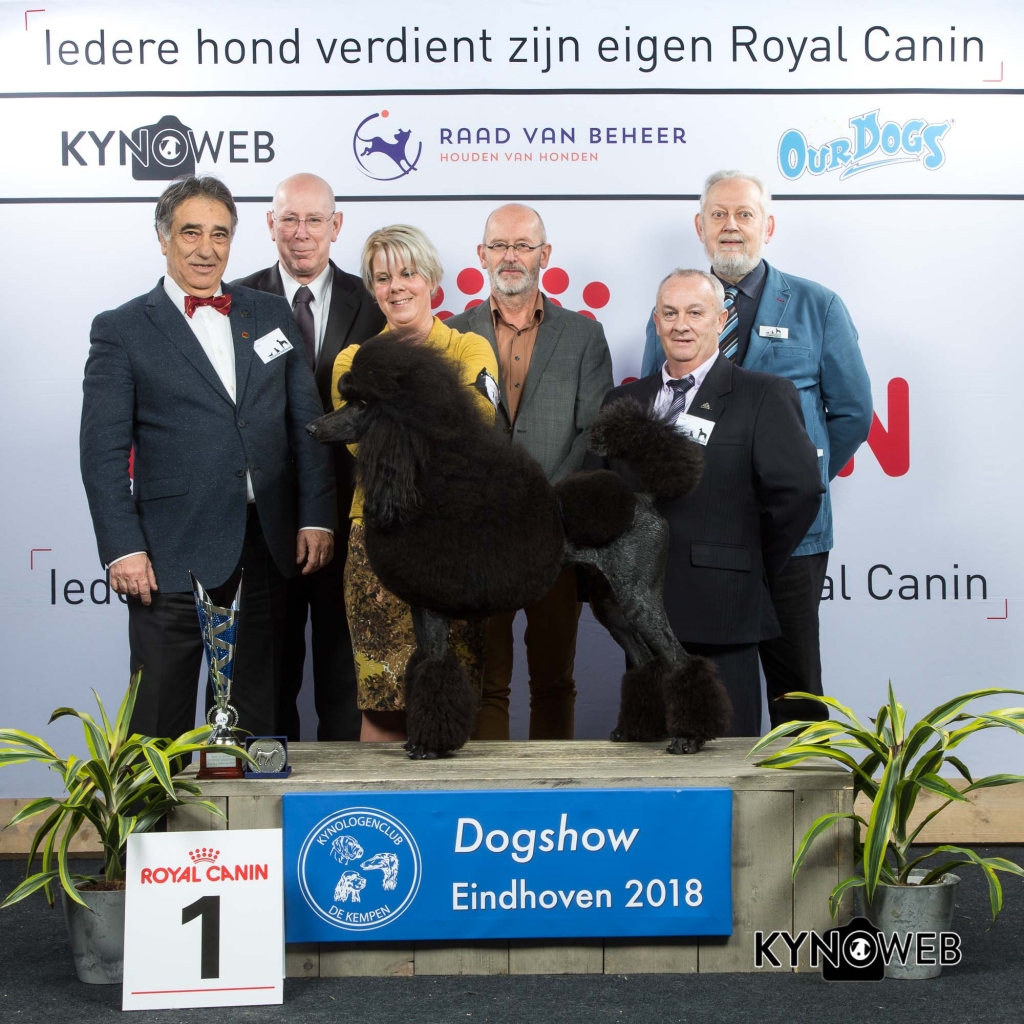 BIS_1_EINDHOVEN_2018_Kynoweb__20180204_17_19_11
