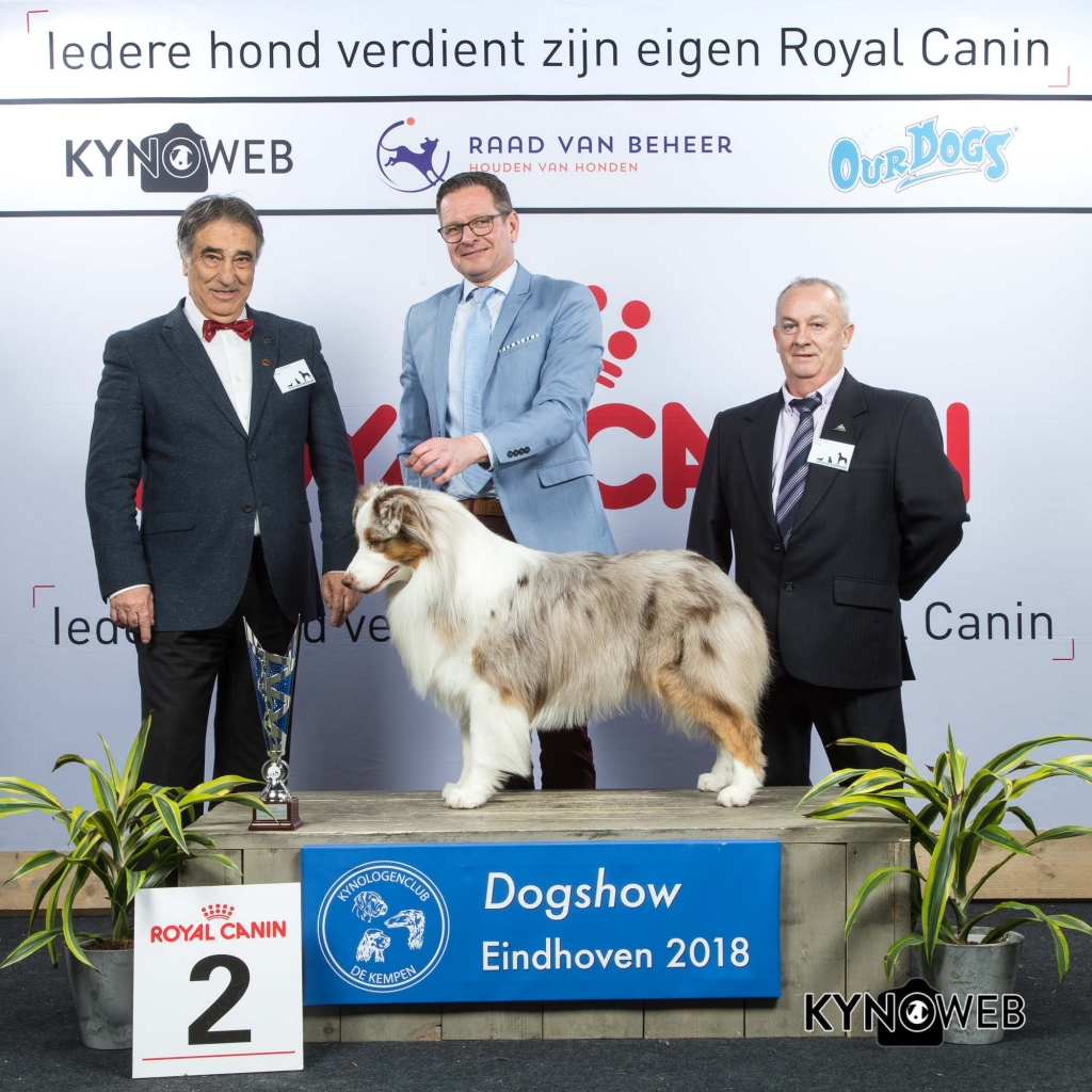BIS_2_EINDHOVEN_2018_Kynoweb__20180204_17_21_05