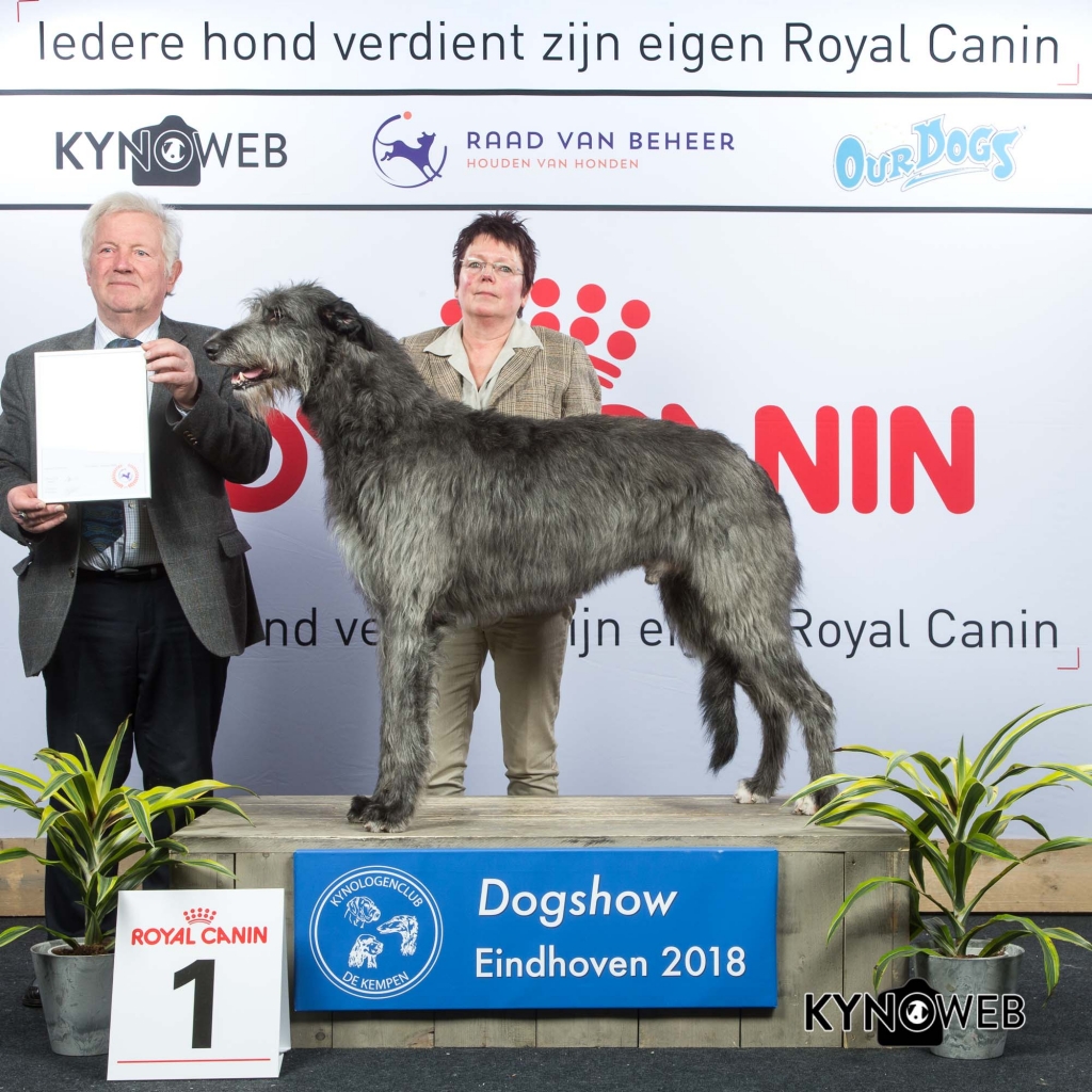 G_10_1_EINDHOVEN_2018_Kynoweb__20180203_16_22_25