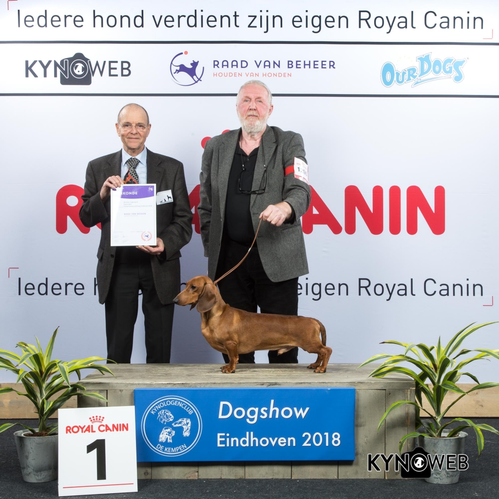 G_4_1_EINDHOVEN_2018_Kynoweb__20180203_16_14_36