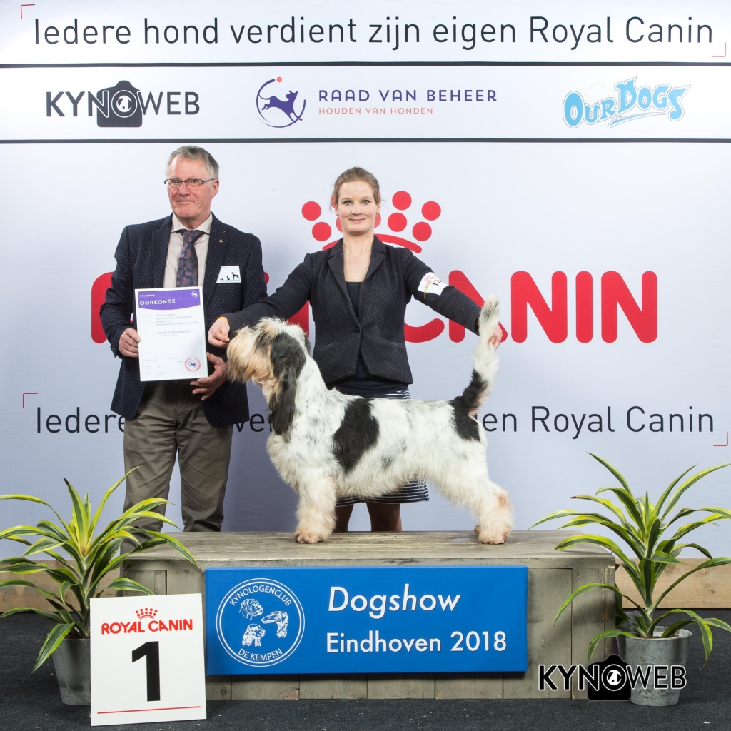 G_6_1_EINDHOVEN_2018_Kynoweb__20180202_16_18_41