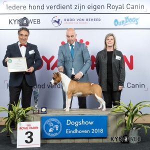 BIS_3_EINDHOVEN_2018_Kynoweb__20180204_17_23_30