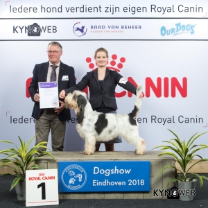 G_6_1_EINDHOVEN_2018_Kynoweb__20180202_16_18_41